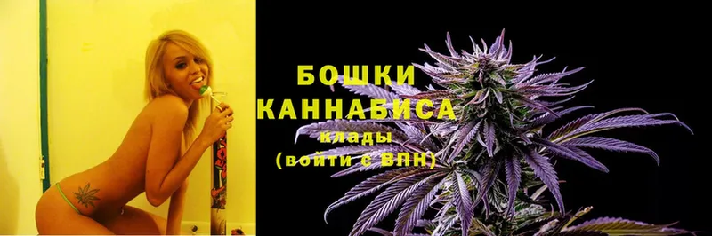 Шишки марихуана SATIVA & INDICA  kraken ссылки  Сельцо 